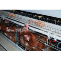 Hot Sale Cages for Layer Battery Chicken